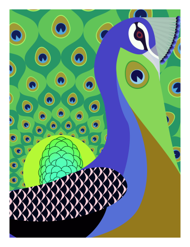 peacock_1